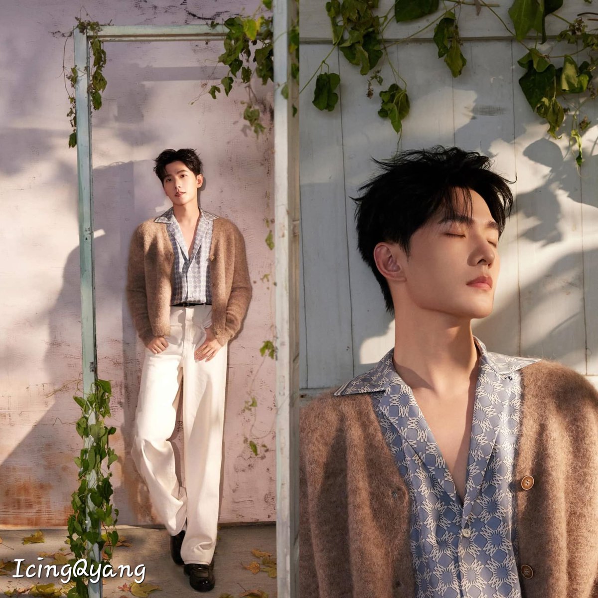 icingquinyang2's tweet photo. The afternoon sun recreated as a backdrop for #YangYang杨洋 for the #HONORPRO 300 promotional video brings out his #classicalface. #godofvisuals #influencer. https://t.co/nK8fSNgd4k