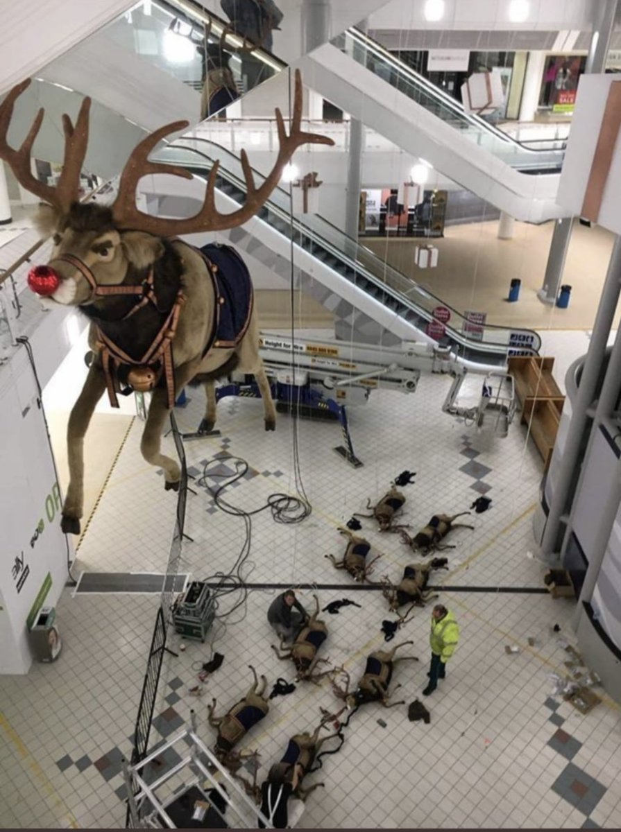 🎶 All of the other reindeer, used to laugh and call him names 🎶 

So he killed them.

He killed them ALL.