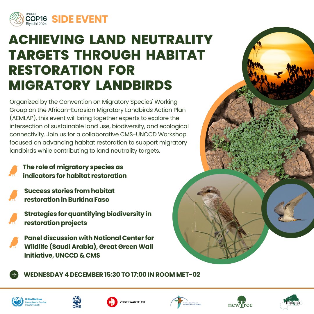 Vogelwarte_Science (@vogelwarte_scie) on Twitter photo Together with <a href="/BonnConvention/">Convention on Migratory Species (CMS)</a> <a href="/UNCCD/">UN Land and Drought</a>, <a href="/FLAP_AEMLAP/">FLAP</a> and <a href="/tiipaalga/">Associationtiipaalga</a> we host a side event at #COP16Riyadh about achieving land neutrality targets through #habitat #restoration for migratory landbirds.
Join us at #UNCCDCOP16 on Wednesday, 15:30–17:00 AST: unccd.int/official-docum… Together with <a href="/BonnConvention/">Convention on Migratory Species (CMS)</a> <a href="/UNCCD/">UN Land and Drought</a>, <a href="/FLAP_AEMLAP/">FLAP</a> and <a href="/tiipaalga/">Associationtiipaalga</a> we host a side event at #COP16Riyadh about achieving land neutrality targets through #habitat #restoration for migratory landbirds.
Join us at #UNCCDCOP16 on Wednesday, 15:30–17:00 AST: unccd.int/official-docum…