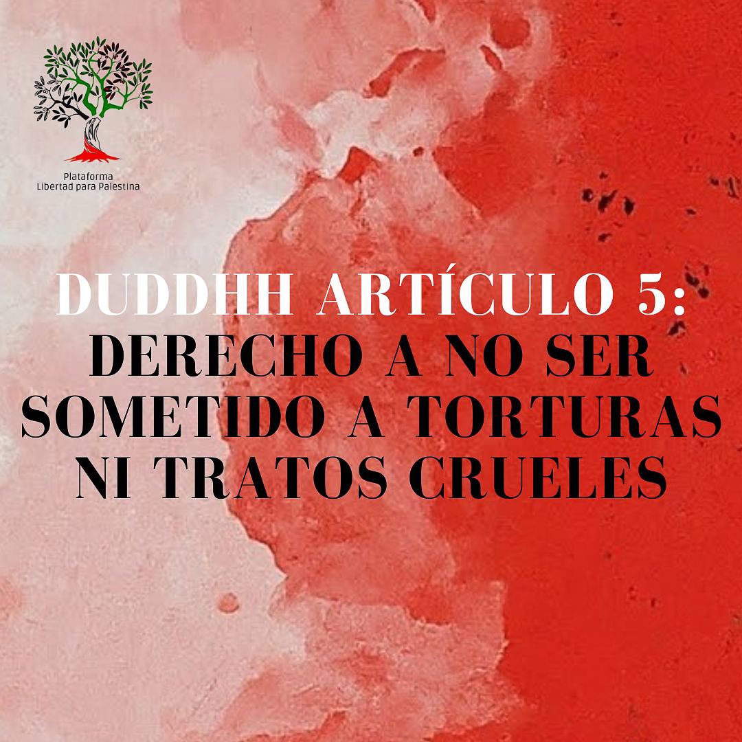 El Artículo 5 #DUDDHH prohíbe los tratos crueles e inhumanos. En Palestina, estas violaciones son parte del día a día bajo la ocupación.
#DerechosParaPalestina