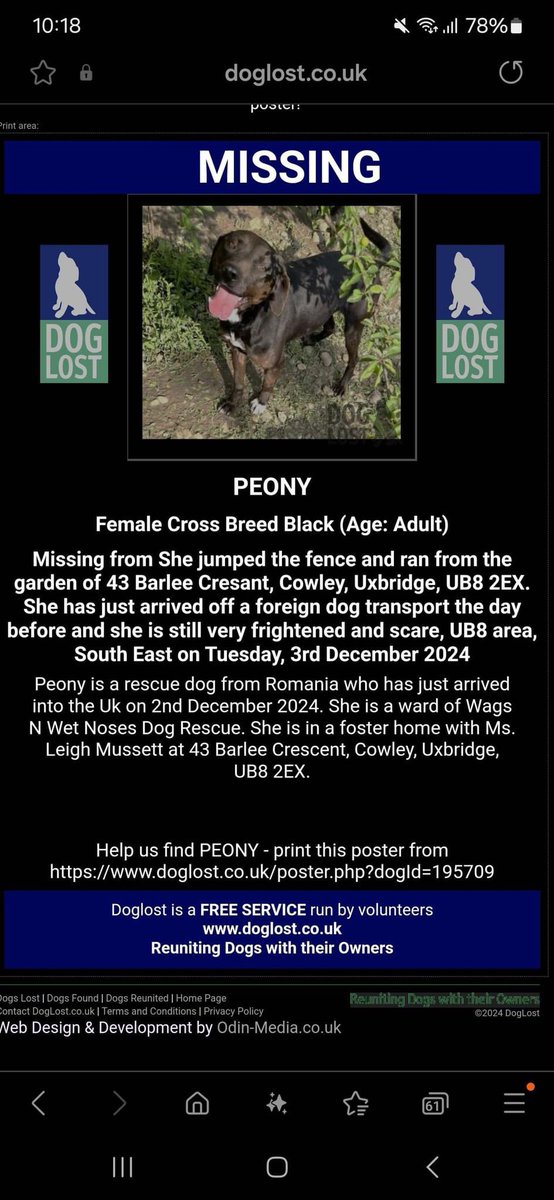 rosiedoc666's tweet photo. PEONY ONLY ARRIVED IN COUNTRY 2/12/24
She will be so scared - PLEASE DO NOT CHASE IF SEEN she could run into danger βοΈ
#Cowley #Uxbridge #UB8
Female black CROSSBREED
https://t.co/iSFUFFXWKD
@cowleyproperty @CowleyFitness @Uxbridgenews @JacquiSaid @RachaelB100 @BitofDecorum https://t.co/nW8OnqoxyV
