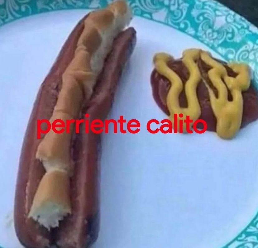 Perriente calito