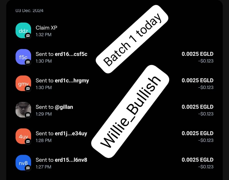 Willie Bullish🧑💻 tweet media