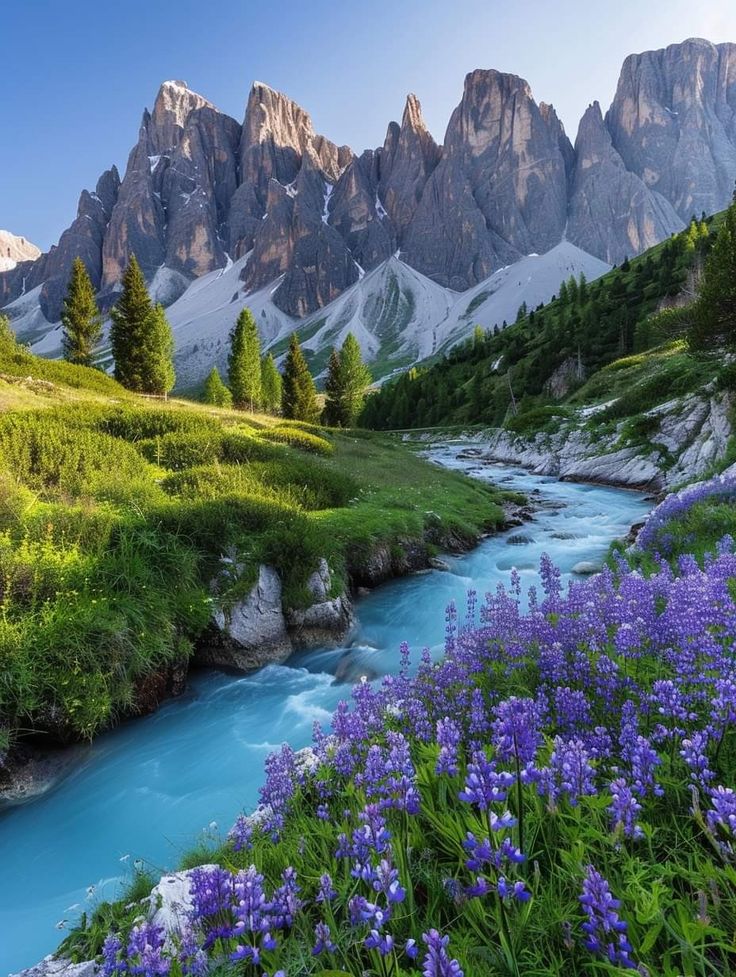 naturebeautyh's tweet image. 