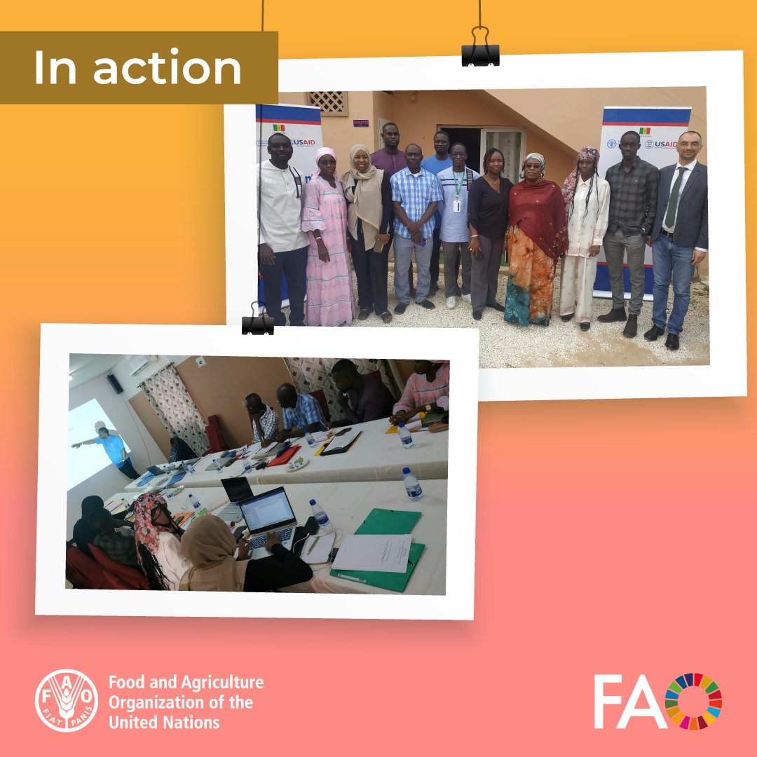 FAO Livestock (@faolivestock) on Twitter photo .<a href="/FAO/">Food and Agriculture Organization</a> supported training and workshop in Senegal to promote the progressive control of #tsetse flies and animal #trypanosomosis within the <a href="/EU_Commission/">European Commission</a> funded #COMBATproject
🌐 FAO & Trypanosomosis: fao.org/paat
➡️Project COMBAT: combat-project.eu .<a href="/FAO/">Food and Agriculture Organization</a> supported training and workshop in Senegal to promote the progressive control of #tsetse flies and animal #trypanosomosis within the <a href="/EU_Commission/">European Commission</a> funded #COMBATproject
🌐 FAO & Trypanosomosis: fao.org/paat
➡️Project COMBAT: combat-project.eu