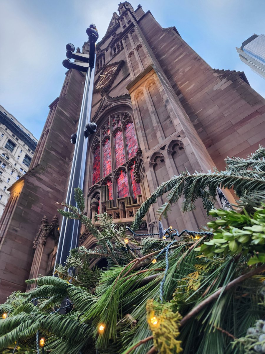 Zaro Avila tweet media