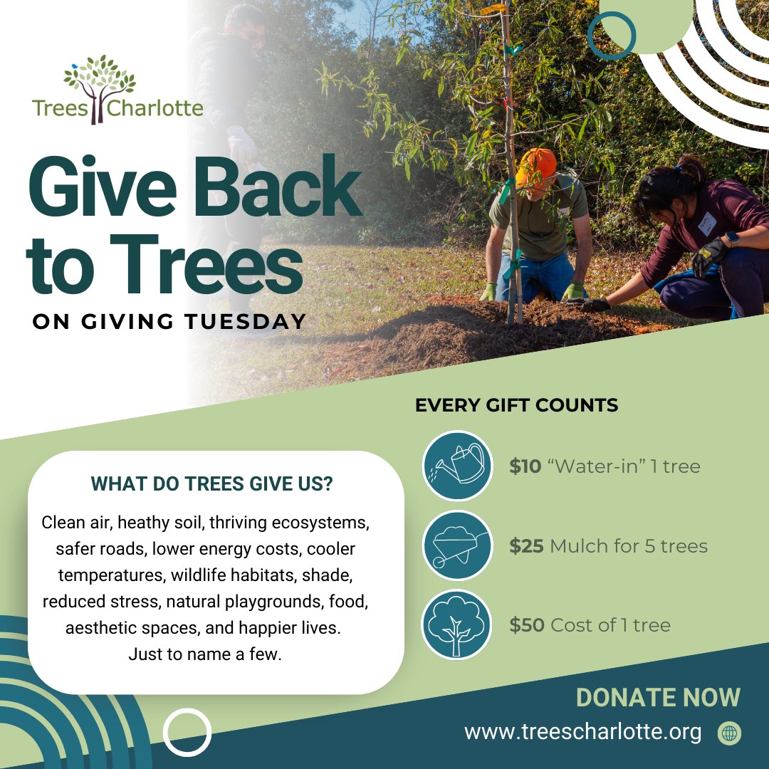 treescharlotte tweet media