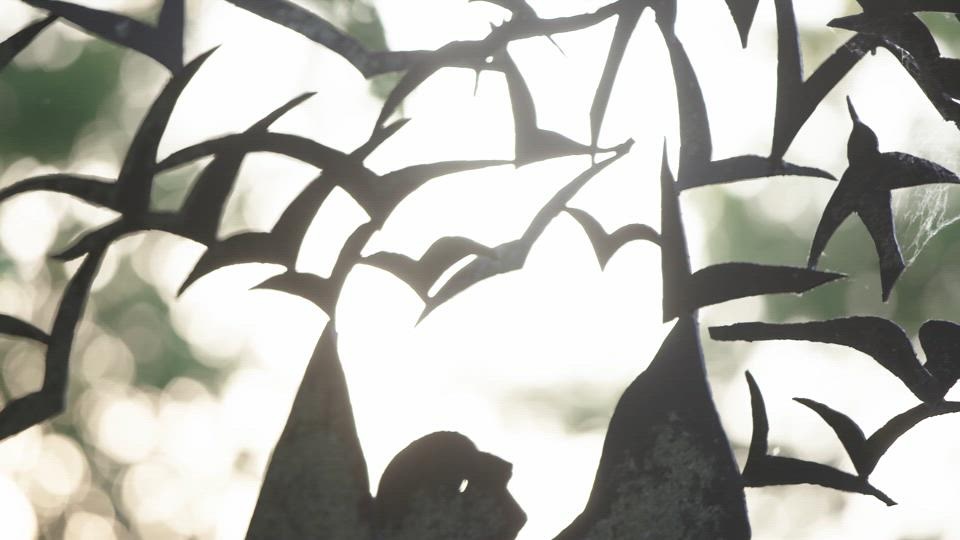 How do you slow down time? At The New Harmony Project, we find a way! Help us support writers as they dream up better futures for us all - and take a glimpse at how our annual residency does just that. youtu.be/inrxY5qSnGc

Make a donation today at newharmonyproject.org/give.