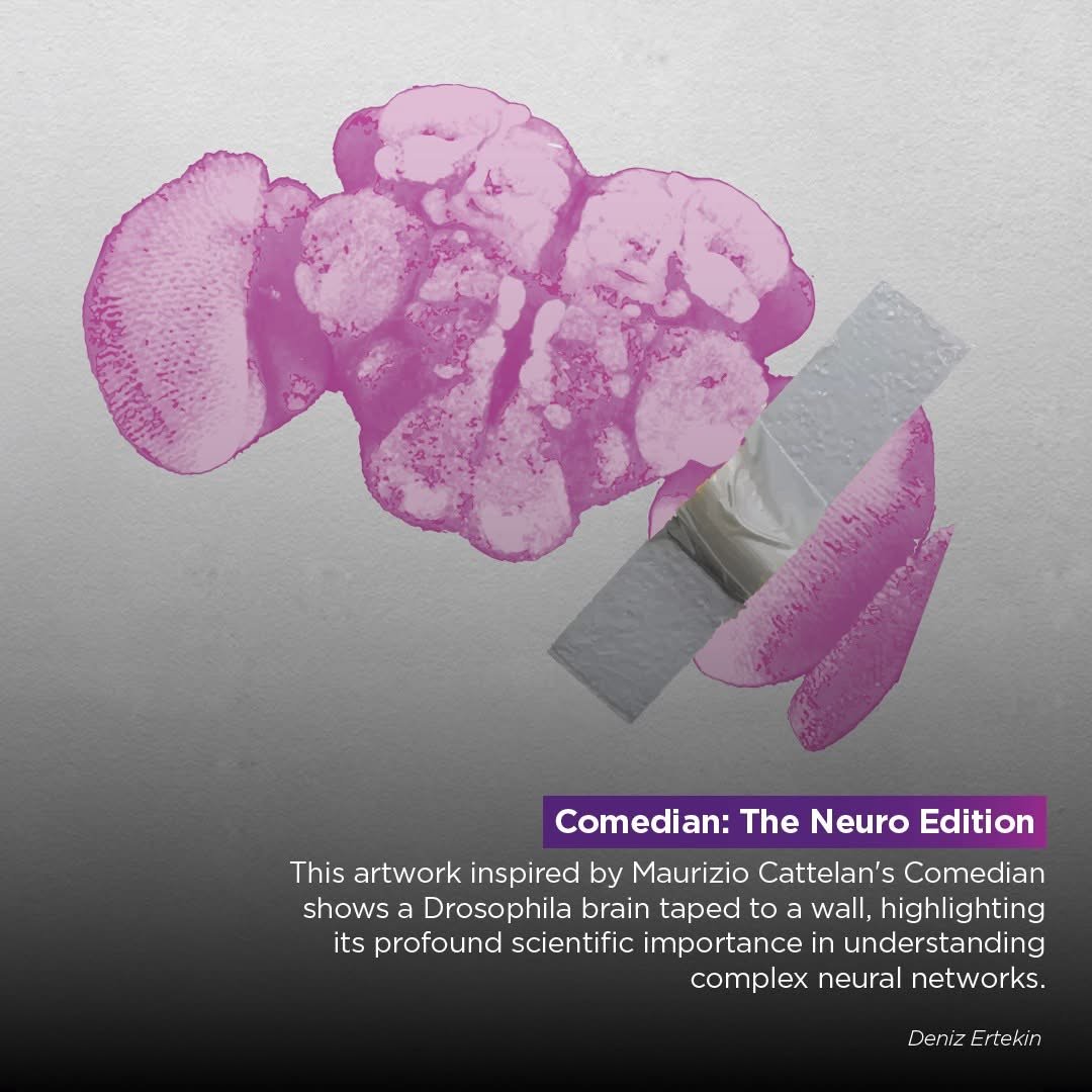 Flybrain&gt; Banana. 
My entry for the art in neuroscience competition at QBI.