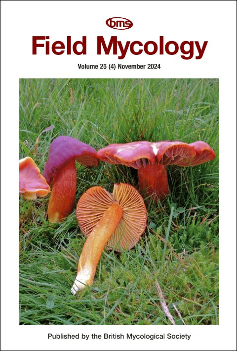 On the cover of the latest issue of Field Mycology: Hygrocybe punicea, the UK's largest species of red Waxcap. (Photo credit: Geoffrey Kibby)
Read about future plans for our Field Mycology journal here: britmycolsoc.org.uk/field_mycology…