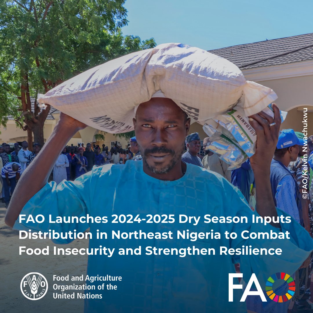 FAO Nigeria (@faonigeria) on Twitter photo Thanks to <a href="/NorwayMFA/">Norway MFA</a>, <a href="/UNCERF/">CERF - The UN's emergency fund</a>, <a href="/eu_echo/">EU Civil Protection & Humanitarian Aid 🇪🇺</a>, <a href="/SwissDevCoop/">Swiss Development and Cooperation</a>, and <a href="/USAIDSavesLives/">USAID's Bureau for Humanitarian Assistance</a> & <a href="/FranceInNigeria/">Ambassade de France au Nigéria</a>, <a href="/FAO/">Food and Agriculture Organization</a> Launches 2024-2025 Dry Season Inputs Distribution in Northeast Nigeria to Combat Food Insecurity and Strengthen Resilience.
Read the press release 👉🏾 fao.org/nigeria/news/d… Thanks to <a href="/NorwayMFA/">Norway MFA</a>, <a href="/UNCERF/">CERF - The UN's emergency fund</a>, <a href="/eu_echo/">EU Civil Protection & Humanitarian Aid 🇪🇺</a>, <a href="/SwissDevCoop/">Swiss Development and Cooperation</a>, and <a href="/USAIDSavesLives/">USAID's Bureau for Humanitarian Assistance</a> & <a href="/FranceInNigeria/">Ambassade de France au Nigéria</a>, <a href="/FAO/">Food and Agriculture Organization</a> Launches 2024-2025 Dry Season Inputs Distribution in Northeast Nigeria to Combat Food Insecurity and Strengthen Resilience.
Read the press release 👉🏾 fao.org/nigeria/news/d…