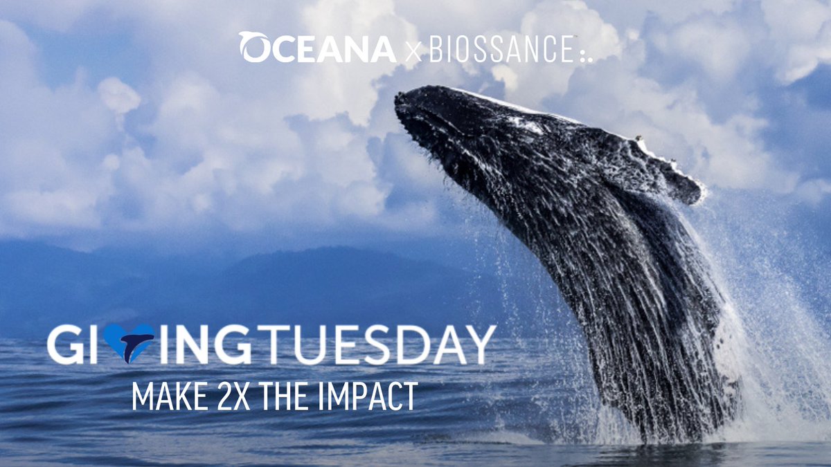 The biggest giving day of the year is here...It’s #GivingTuesday! 

It’s a critical time for our oceans and marine life – and we need your help. Donate to stand up for oceans today. Each gift makes 2X the impact thanks to @biossance! oceana.ly/3Zjo8l3