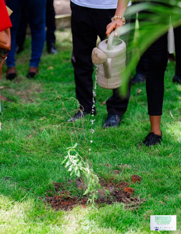 GDfAfrica's tweet photo. Greening your environment is like having a peaceful Election. God bless GDf Africa, God Bless Ghana https://t.co/BAX7eiXxAN