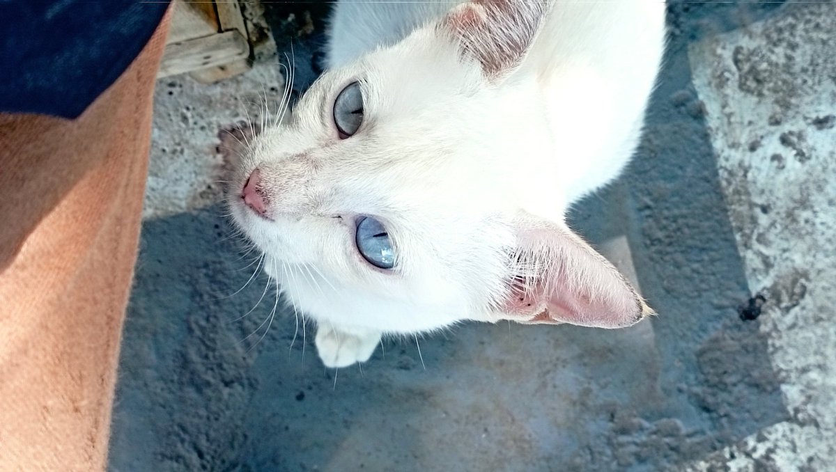 2025behappy tweet media