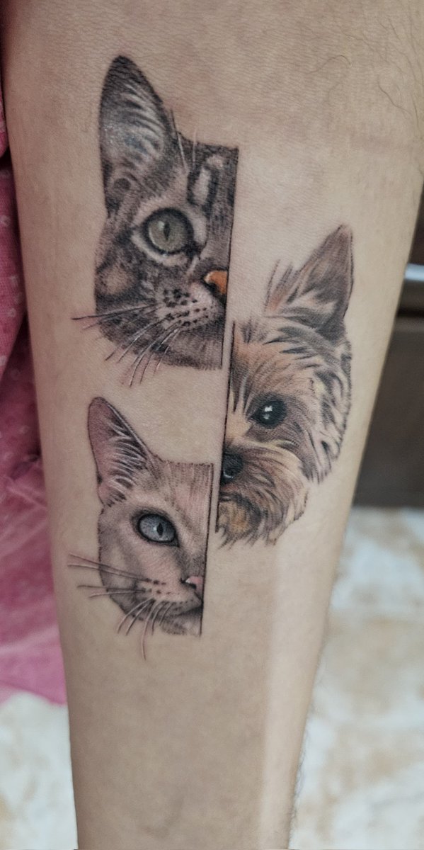 Inma 🐳 tweet media