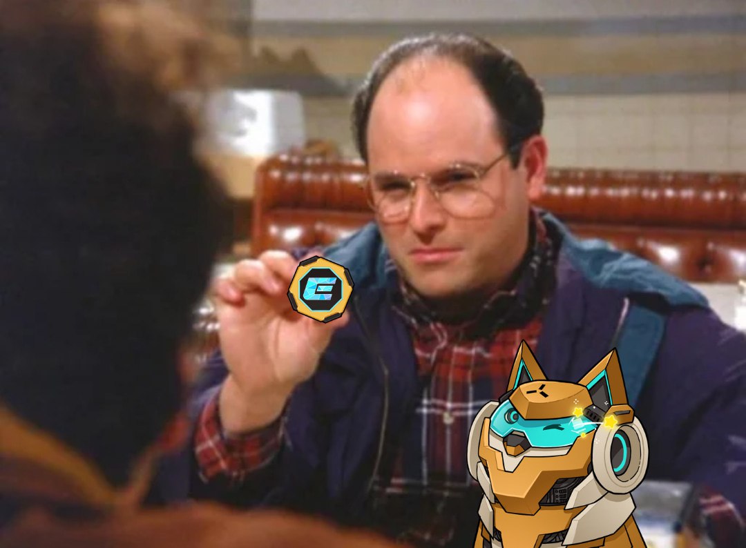 macn cat tweet media