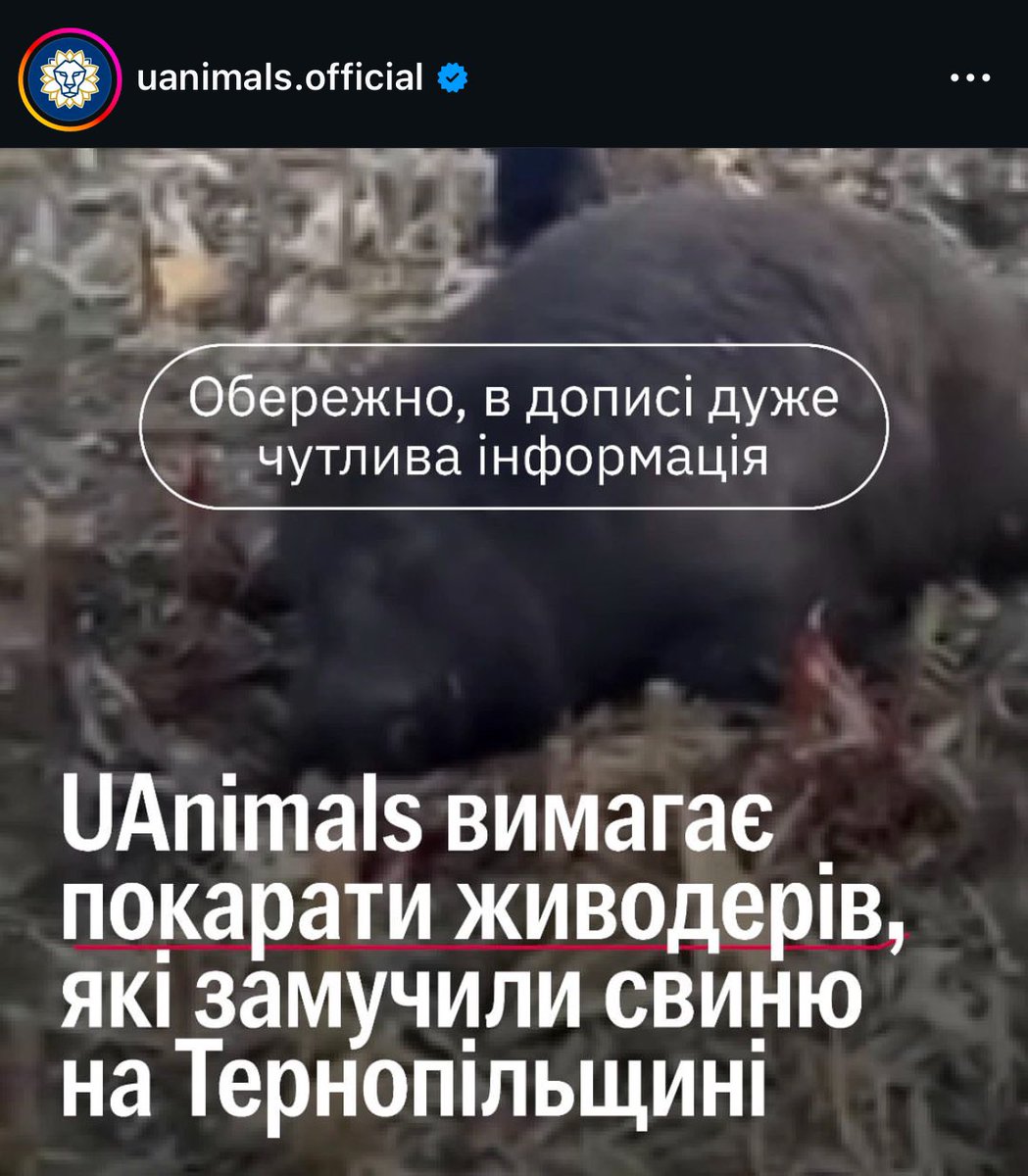 zhovta_plyama's tweet photo. Кончені блять уроди https://t.co/Y3T4LihRqM