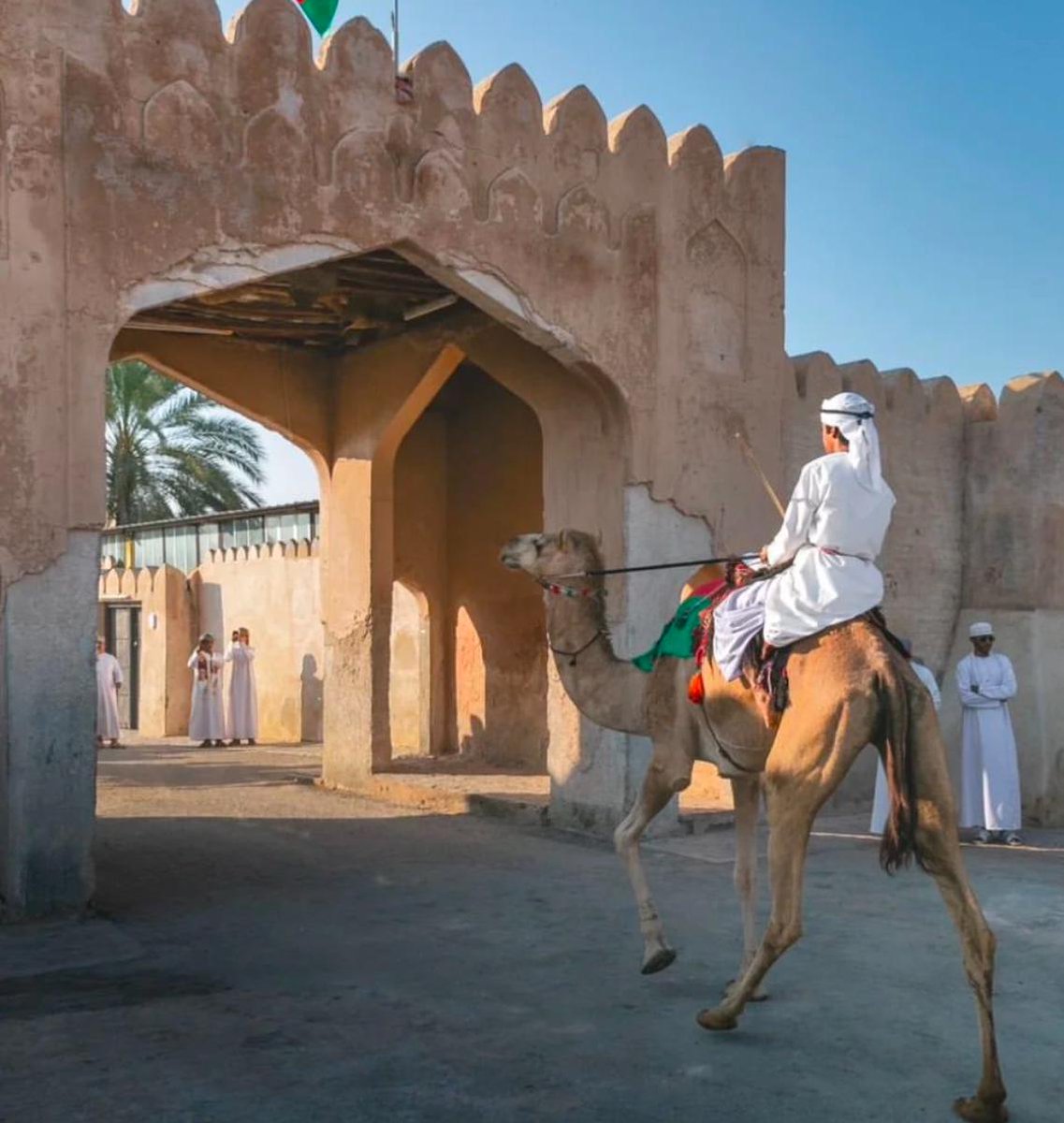 حبال الود لا تقطعها السكاكين..
ولكن تقطعها الظنون..
#مساء_الخير 🌹💚🧡❤️
