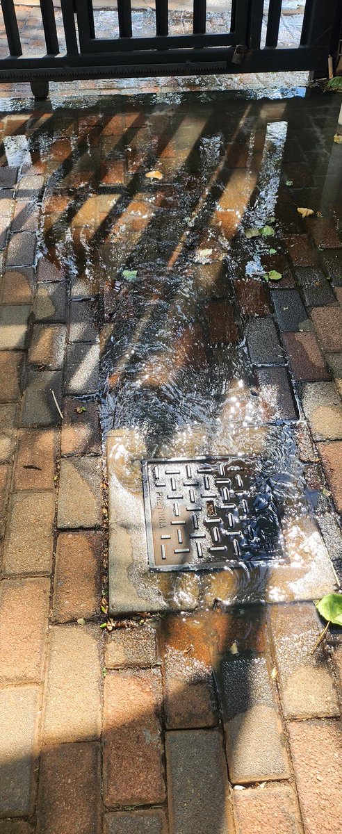 Duplessisad123's tweet photo. @JHBWater https://t.co/GiXhIOzc3Z