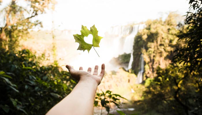 MAHUILQUE Y LA IMPORTANCIA DE LOS BOSQUES EN LA CAPTURA DE CARBONO

mahuilque.cl/gestion-ambien…

#bosque
#Biodiversidad
#CienciasDeLaTierra
#ConservaciónDelMedioAmbiente
#DesarrolloSostenible
#Drones
#Geoinformación
#GestiónAmbiental
#Teledetección
#Topografía