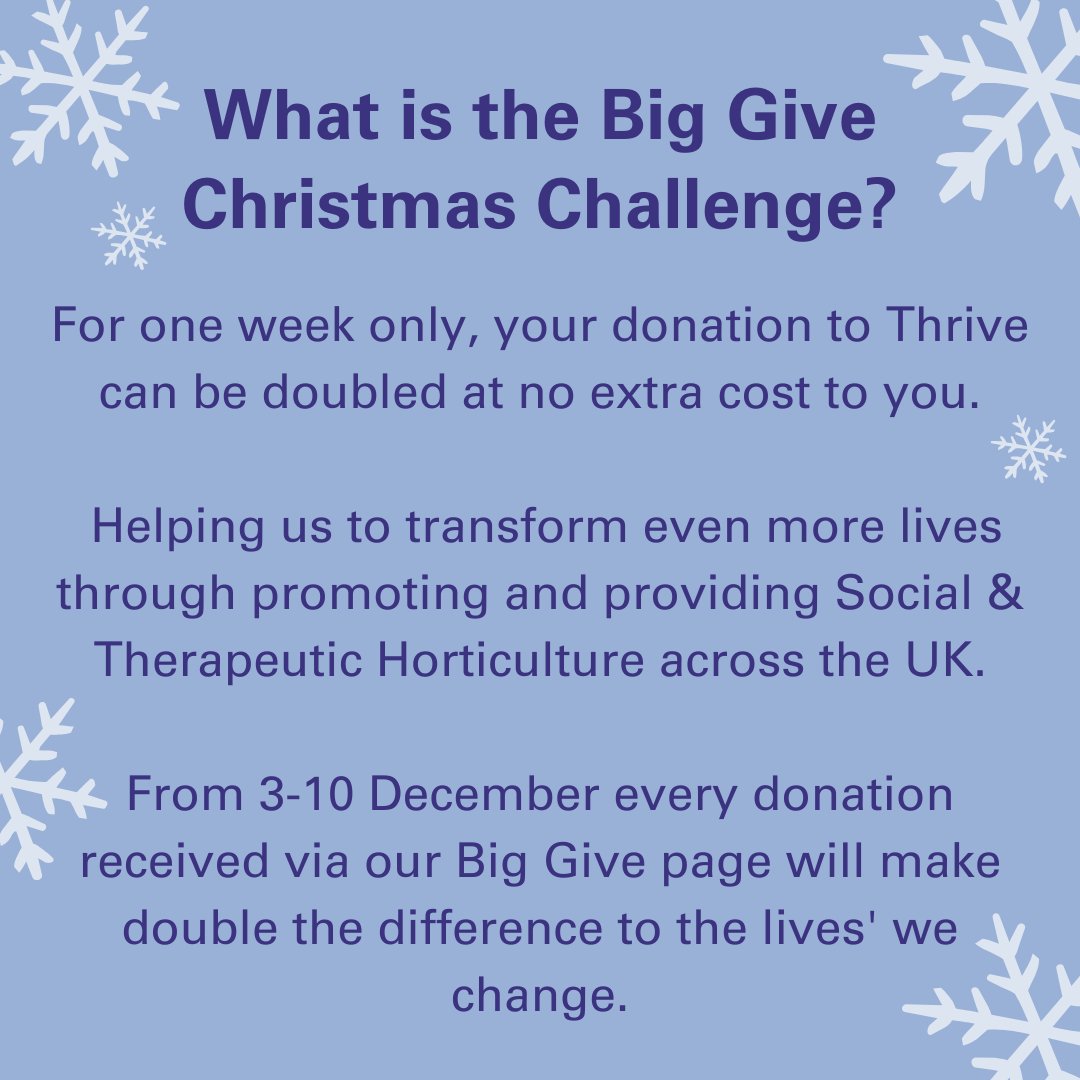 thrivecharity's tweet photo. Our Big Give Christmas Challenge 2024 is now live! ✨

This year we're aiming to raise more than ever before, with an ambitious £25,000 target. 

🔗Click the link to head to our Big Give page to donate: https://t.co/VMsPnZvYd7

❄️ Let it grow, let it grow, let it grow! ❄️ https://t.co/dqemSIFpb7