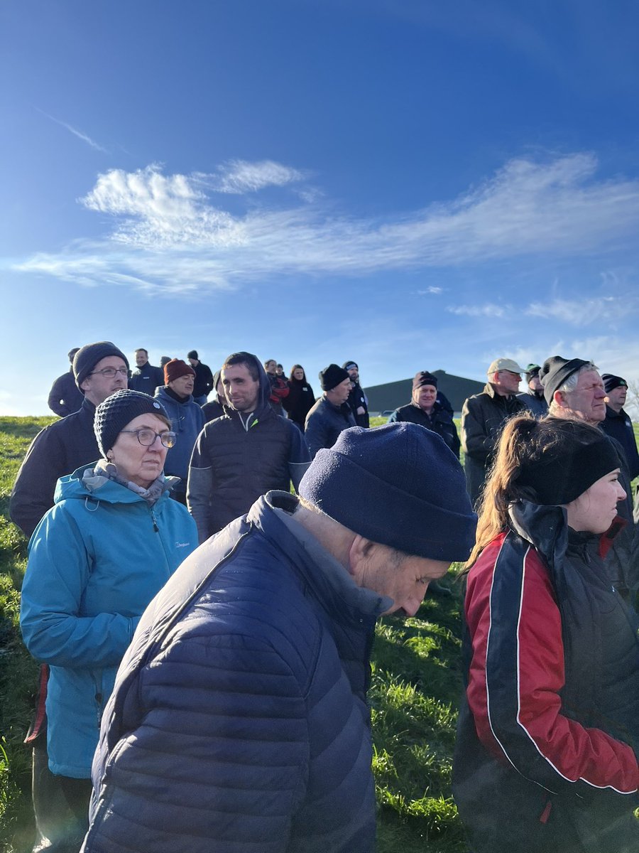 Patrick Horgan tweet media