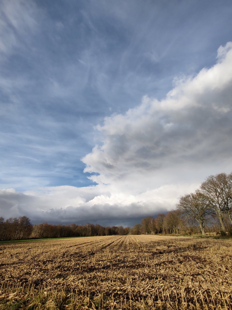 marckske40's tweet photo. #vrtweer Tielen https://t.co/gPacuv9Jr9