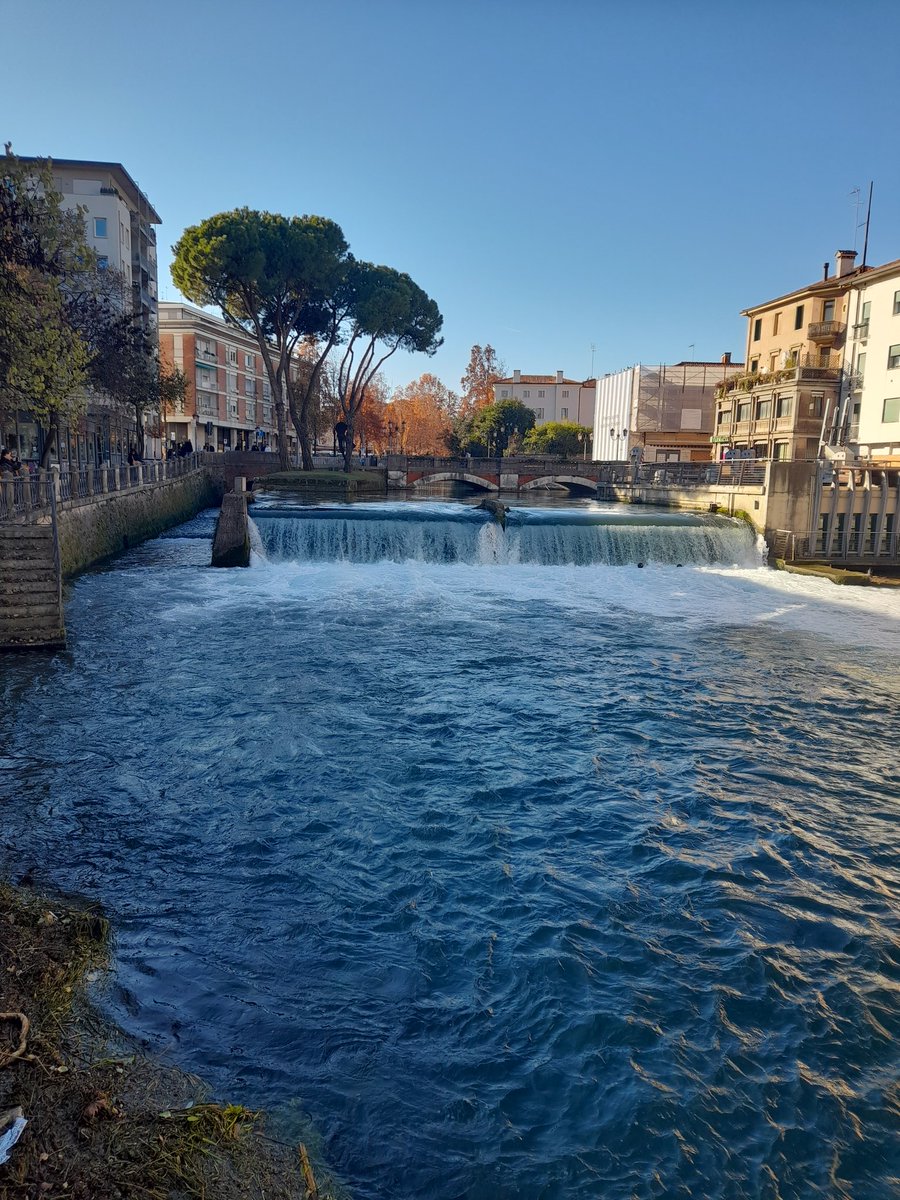 Francesco (@frances10419470) on Twitter photo 