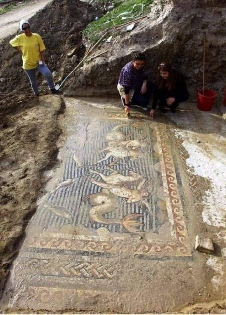 histories_arch's tweet photo. A mosaic featuring an Eros figure fishing on horse, from Greek Mythology, has been found in the southern province of Adana’s Yumurtalık district in nowdays Türkiye.

The half fish-half horse Eros, which is called Hippocampus in Greek mythology, is claimed to be the one and only such mosaic in the world.

#archaeohistories