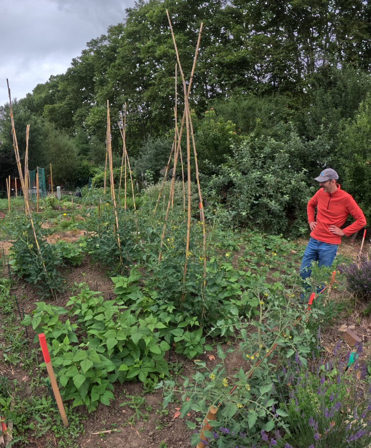 [#event J-10] Jardinier, maraicher ou encore scientifique, intéressé par les associations de plantes potagères❓👩‍🌾🥦🍅🫘

Participez à la rencontre interprofessionnelle et intégrez le réseau toulousain #CoCultures

📅13/12
📍<a href="/INRAE_Tlse/">INRAE Occitanie-Toulouse</a>
Sur inscription➡️url.inrae.fr/3B3thVK