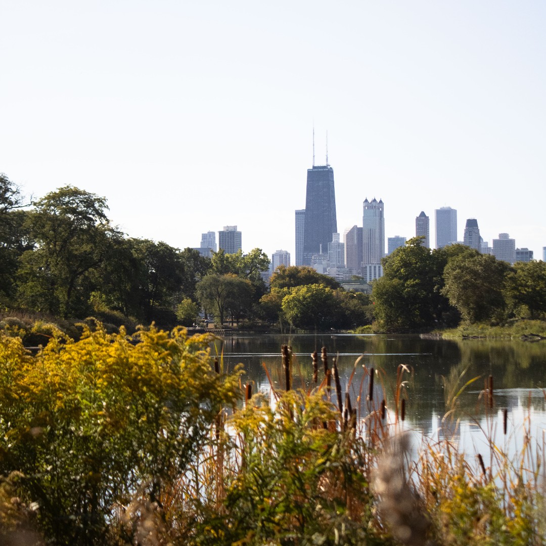 Lincoln Park Conservancy tweet media