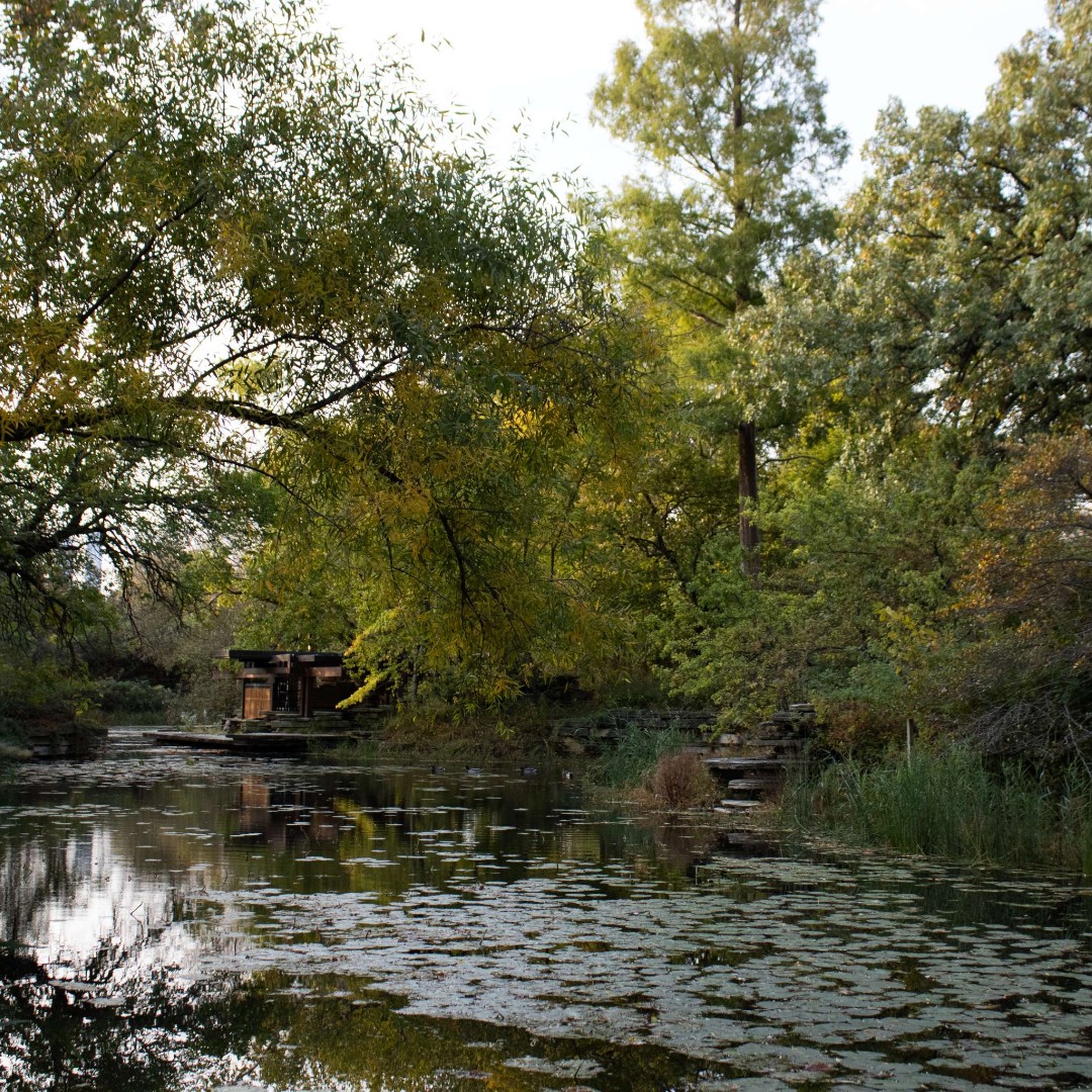 Lincoln Park Conservancy tweet media