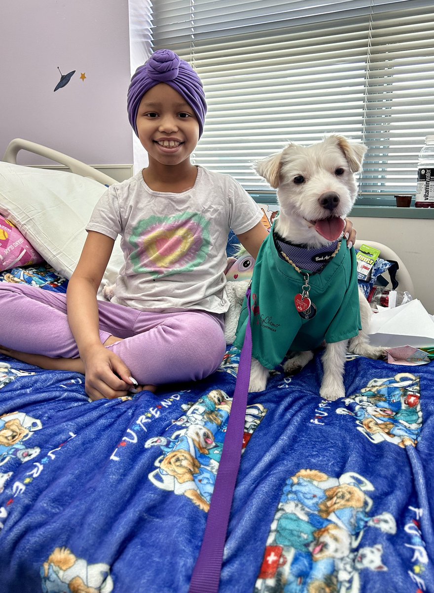 DekeHenriFurry's tweet photo. On this Giving Tuesday please consider sponsoring a “FURENDS” blanket for a child battling cancer or other critical illness! 
They’re soft &amp; cozy and the kids love them! 
Sponsor➡️: https://t.co/yswACZEFN3
Thank you!
~ Deke🐾 
#TherapyDog 
#PawYouNeedIsLove
#DekeTheHalls🎄 https://t.co/FfW5uL5Gn4