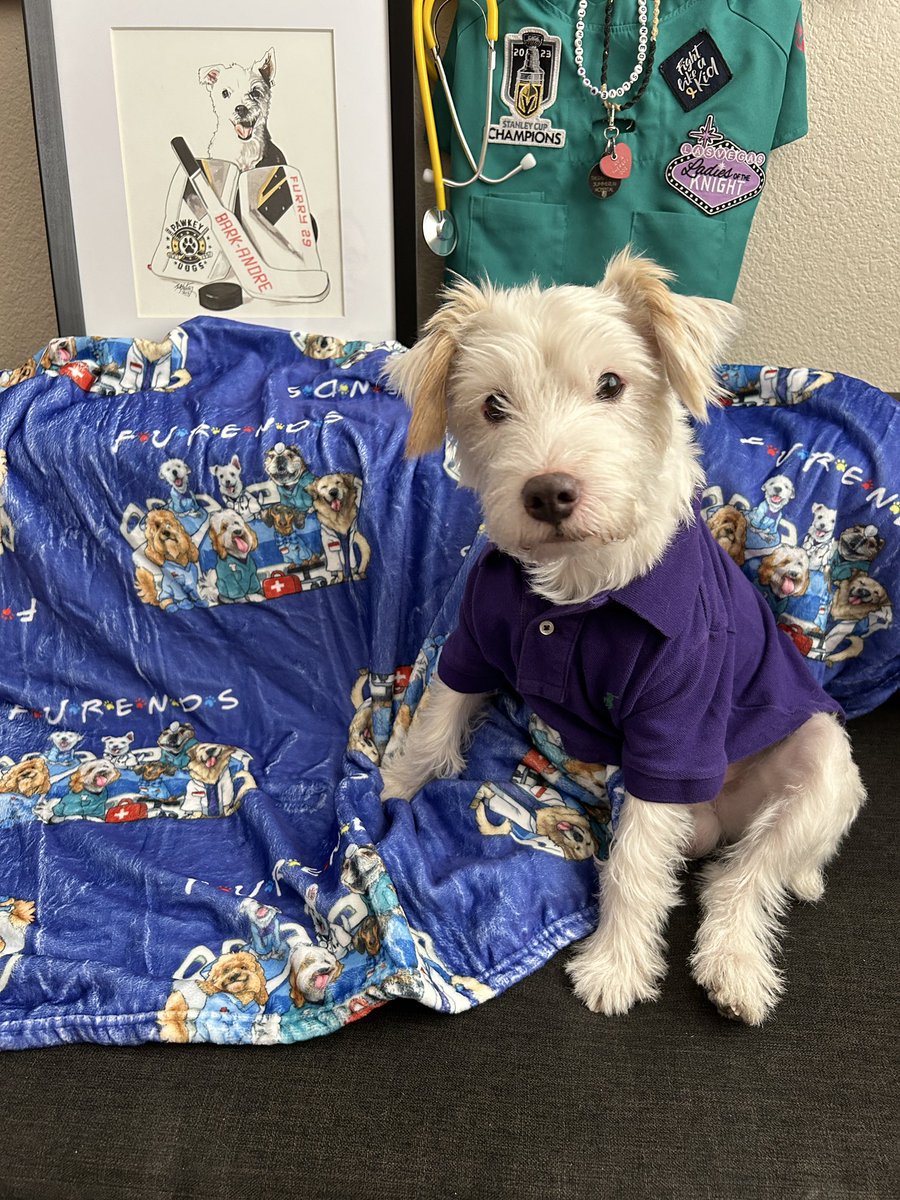 DekeHenriFurry's tweet photo. On this Giving Tuesday please consider sponsoring a “FURENDS” blanket for a child battling cancer or other critical illness! 
They’re soft &amp; cozy and the kids love them! 
Sponsor➡️: https://t.co/yswACZEFN3
Thank you!
~ Deke🐾 
#TherapyDog 
#PawYouNeedIsLove
#DekeTheHalls🎄 https://t.co/FfW5uL5Gn4