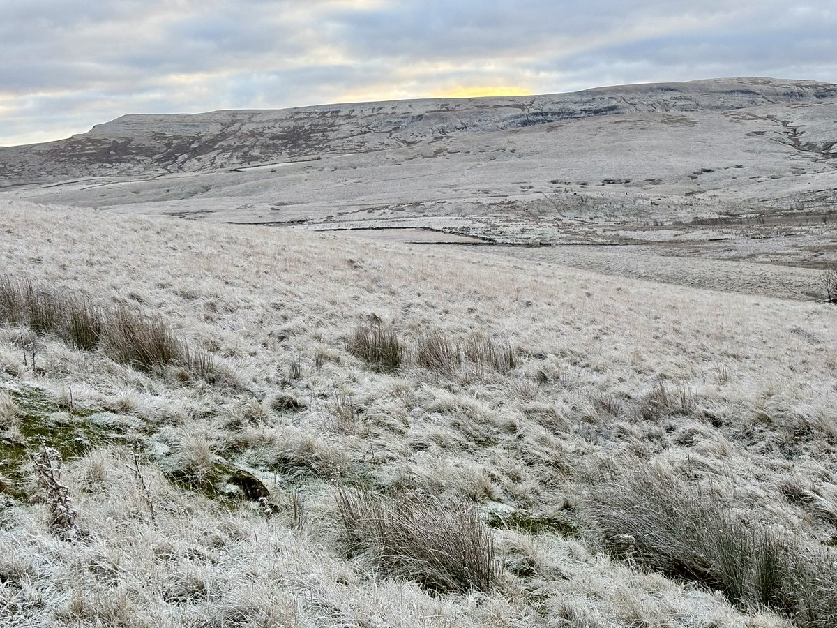 Prof Claire Hughes (@drchughes1) on Twitter photo Gorgeous wintry scenes this morning around Wild Boar Fell <a href="/yorkshire_dales/">Yorkshire Dales National Park</a> ❄️⛰️🌟 Gorgeous wintry scenes this morning around Wild Boar Fell <a href="/yorkshire_dales/">Yorkshire Dales National Park</a> ❄️⛰️🌟