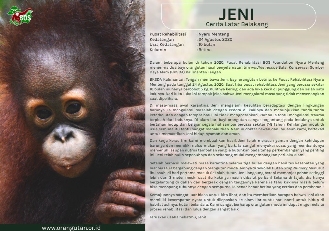 hammiejinn's tweet image. Making sure your birthday will bring happiness to joyful jeni &amp;lt;3🙂‍↕️

#OurHappinessJinDay
#SuperstarJinDay
#WorldwideHandsomeJin
#YouAreLovedJin
#RunningWildWithJin
#IllBeThereForJin
#YoureOurSoulJin
#AnotherLevelWithJin
#OurRayOfLightJin
#HappyJinDay
#JINDAY
@BTS_twt