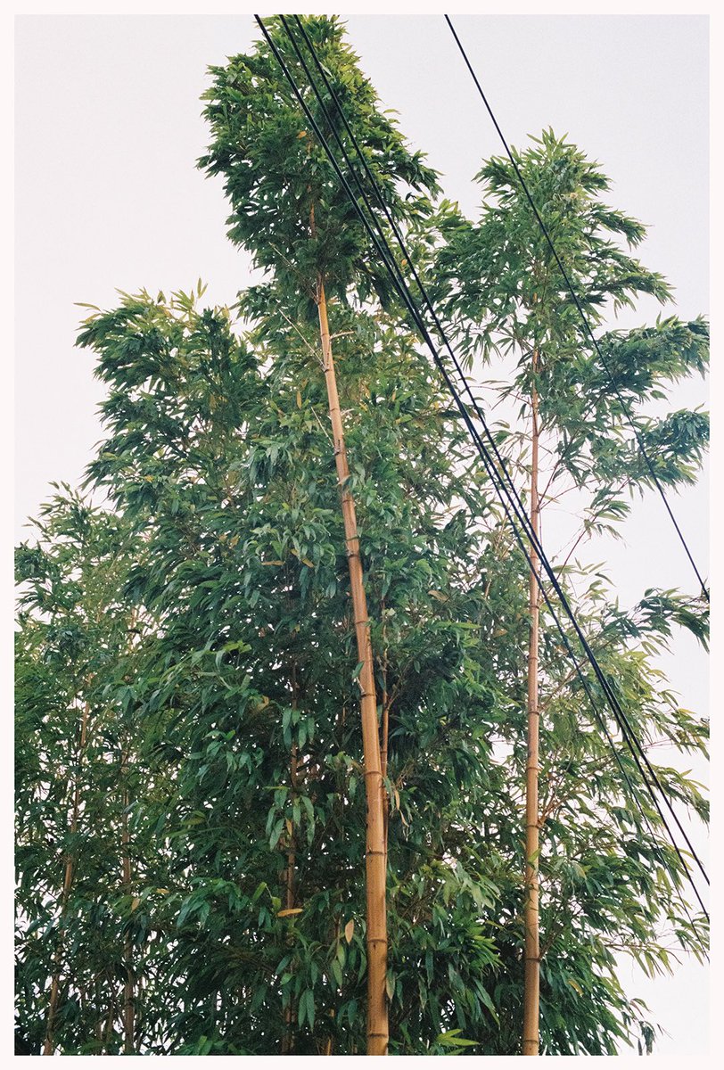 Gandalf_the_black tweet media