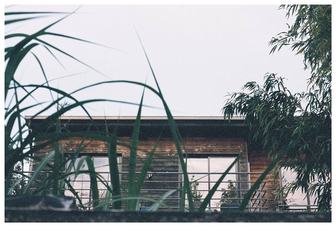 Gandalf_the_black tweet media