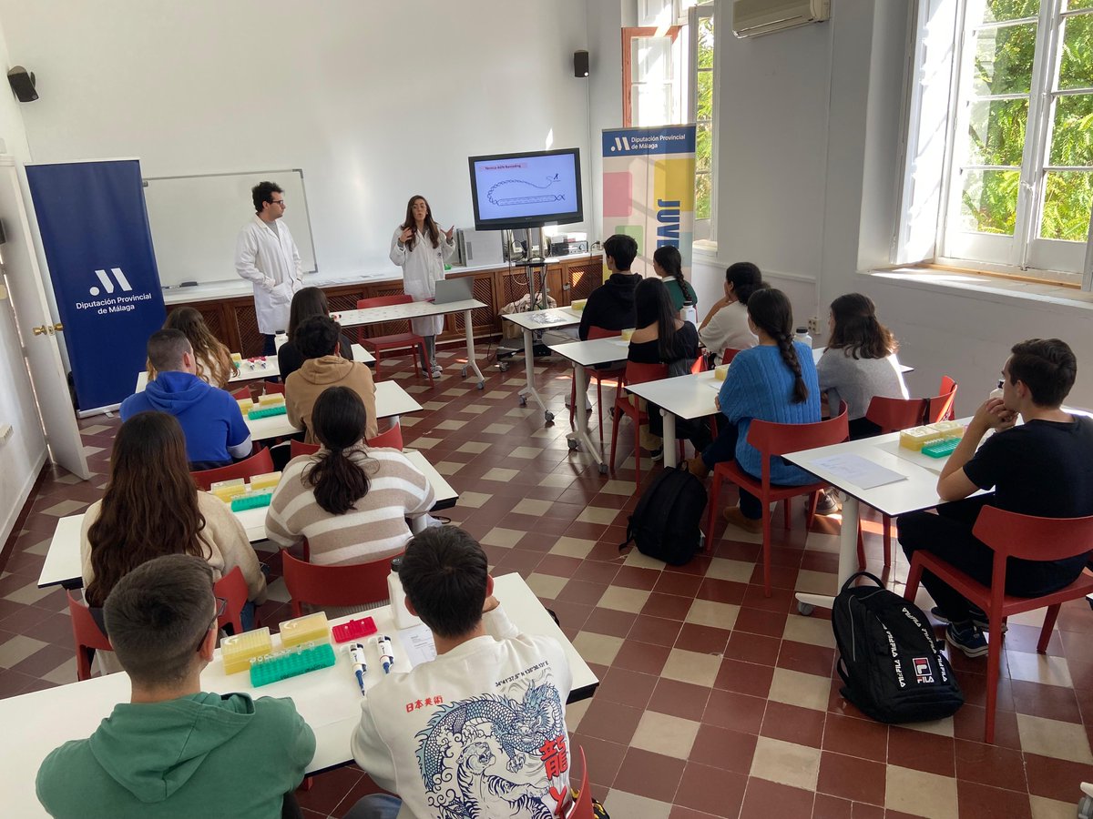 juventudmlg's tweet photo. ✌️Otros 400 alumnos de Bachillerato llegados de diferentes puntos de la provincia de #Málaga han podido disfrutar y aprender hoy en la @diputacionMLG de la segunda jornada de este II Congreso Talento, Ciencia y Juventud

🧑‍🔬 Inteligencia Artificial, motor, bilogía, criminología... https://t.co/27AbT5d9VL