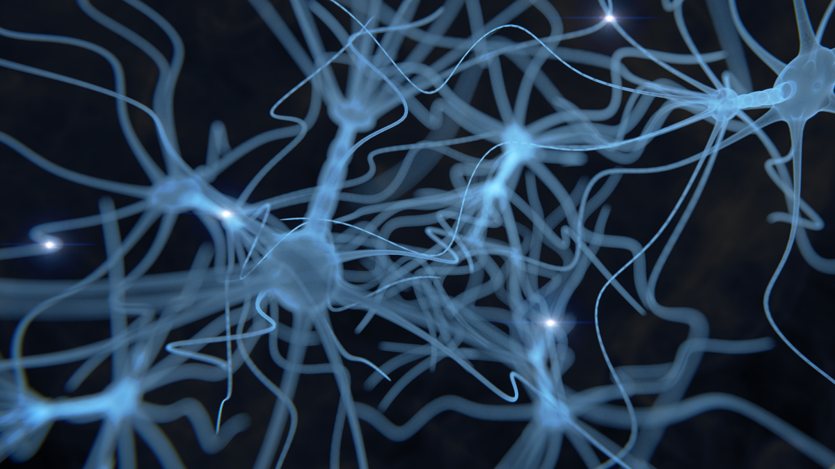 UPMC Physician Resources (@upmcphysicianed) on Twitter photo In this new #CME, <a href="/TaylorAbelMD/">Taylor J. Abel</a>, chief of pediatric neurosurgery at <a href="/ChildrensPgh/">UPMC Children's Hospital of Pittsburgh</a>, reviews the role of pediatric epilepsy surgery and discusses when to refer to an epileptologist or a Level 4 Epilepsy Center.
Earn credit: go.upmc.com/3738WwdcV In this new #CME, <a href="/TaylorAbelMD/">Taylor J. Abel</a>, chief of pediatric neurosurgery at <a href="/ChildrensPgh/">UPMC Children's Hospital of Pittsburgh</a>, reviews the role of pediatric epilepsy surgery and discusses when to refer to an epileptologist or a Level 4 Epilepsy Center.
Earn credit: go.upmc.com/3738WwdcV