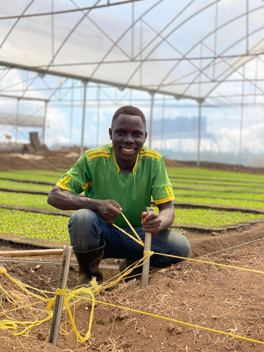 SoukFarms's tweet image. HAPPY DECEMBER from the Souk Team!   
Reminding you that this month is not just about closing chapters but building momentum for the opportunities that await in the new year, 2025.
Stay tuned as we unravel the new month and prepare for 2025.   
#HappyDecember #YearEndReflections