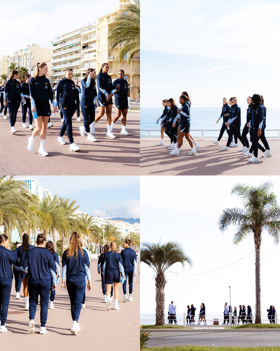 equipedefranceF's tweet photo. La balade des Françaises sur la promenade des Anglais 🌴☀️ 

#FiersdetreBleues https://t.co/1iNYf4uRwH