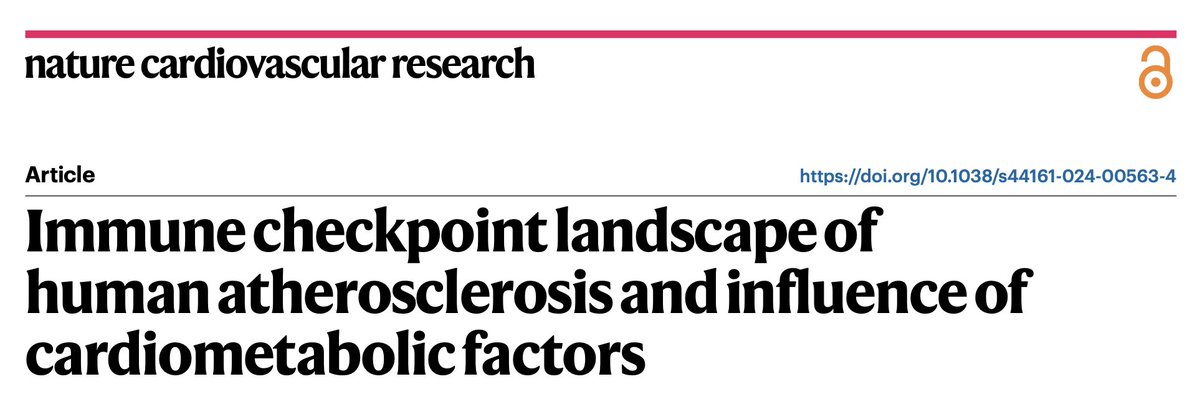 Kathryn Moore Lab (@kathrynmoorelab) on Twitter photo 🚨 New discovery alert! 🚨
In this month’s issue of <a href="/NatureCVR/">Nature Cardiovascular Research</a>, we identify a dendritic cell population that acts as a hub for immune checkpoint communication within human atherosclerotic plaques. <a href="/NYULHCVRC/">NYU CVRC</a> <a href="/ChiaraGiannare1/">Chiara Giannarelli</a>
rdcu.be/d1S6b 🚨 New discovery alert! 🚨
In this month’s issue of <a href="/NatureCVR/">Nature Cardiovascular Research</a>, we identify a dendritic cell population that acts as a hub for immune checkpoint communication within human atherosclerotic plaques. <a href="/NYULHCVRC/">NYU CVRC</a> <a href="/ChiaraGiannare1/">Chiara Giannarelli</a>
rdcu.be/d1S6b