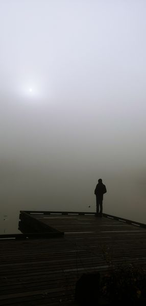 Savage Writer is Querying tweet media