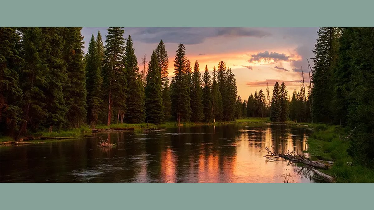 Saltwateronfly's tweet image. Fly Fish Henrys Fork and Henrys Lake
Imagine standing knee-deep in crystal waters, surrounded by the lush greenery of Eastern Idaho. You’re there to fly fish Henrys Fork and Henrys Lake, a dream destination for anglers worldwide. It’s where you’ll battle wily trout and revel in…