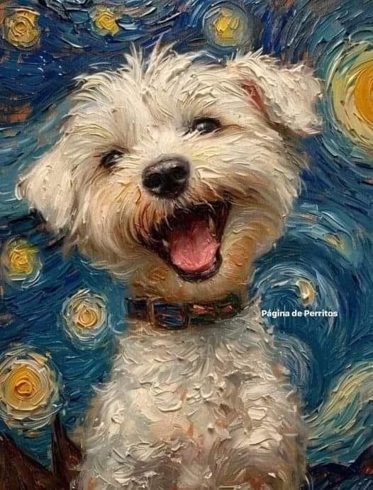 DiloConPerritos's tweet photo. Los perritos son el único ser vivo que tiene un objetivo obsesivo en su vida: entregarse incondicionalmente. https://t.co/MwngWD75k7