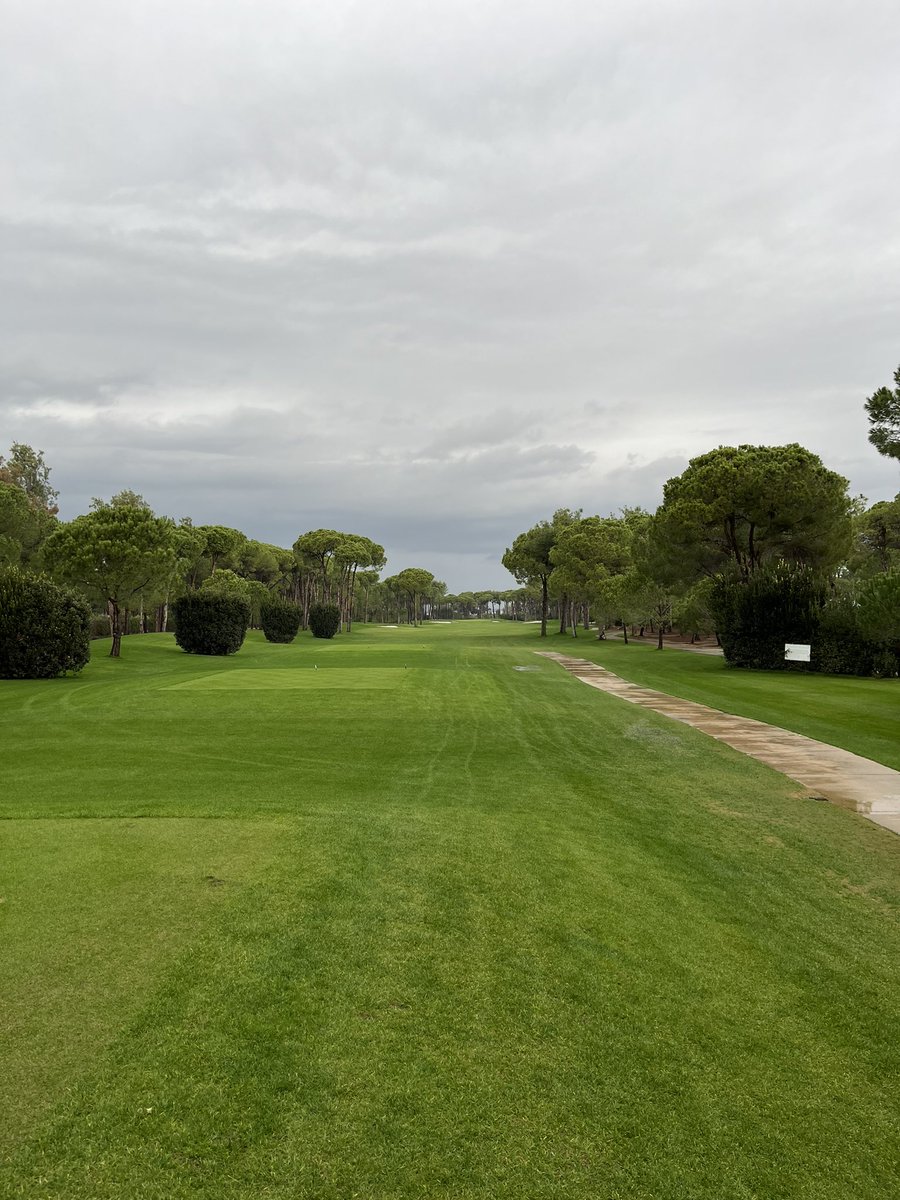 Simon Wright tweet media