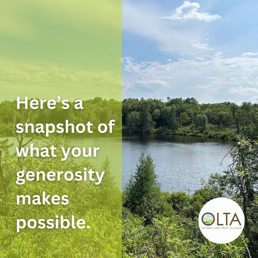 🌍✨ Because of you, we’re fostering a more inclusive, resilient, and sustainable conservation movement Ontario!

And starting today, in December, every dollar you give will be matched up to $10,000, doubling your impact for Ontario’s lands and communities!