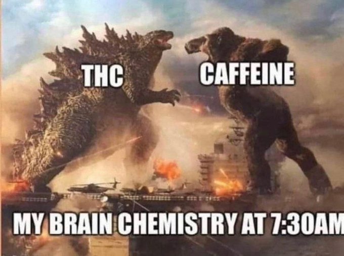 GeniusPothead's tweet photo. gm, gm $WEED fam. ☕🍃💨💨

This is accurate AF! 🤣 https://t.co/4kIVasMtua