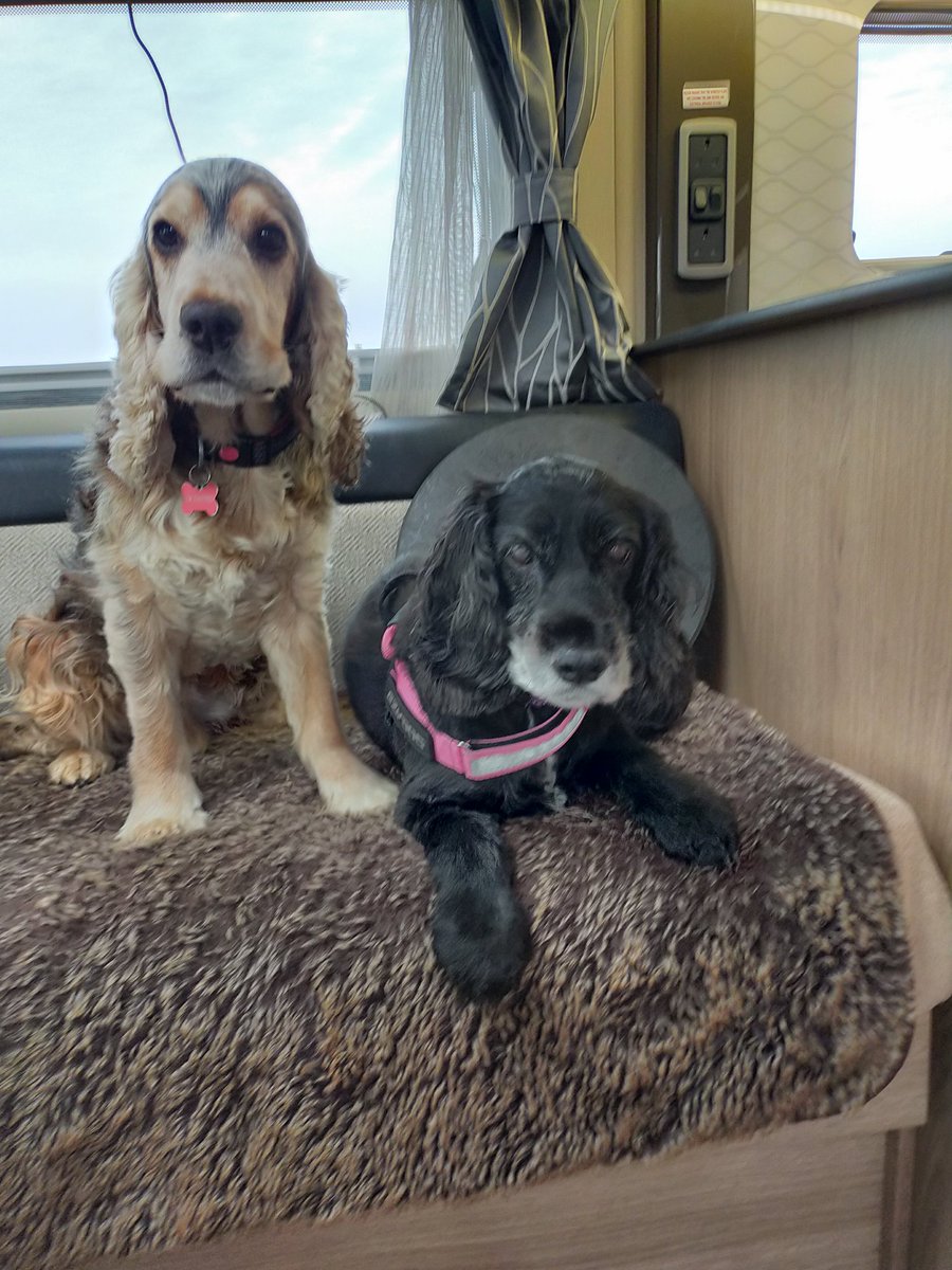 mark teasel💙💙💙 tweet media